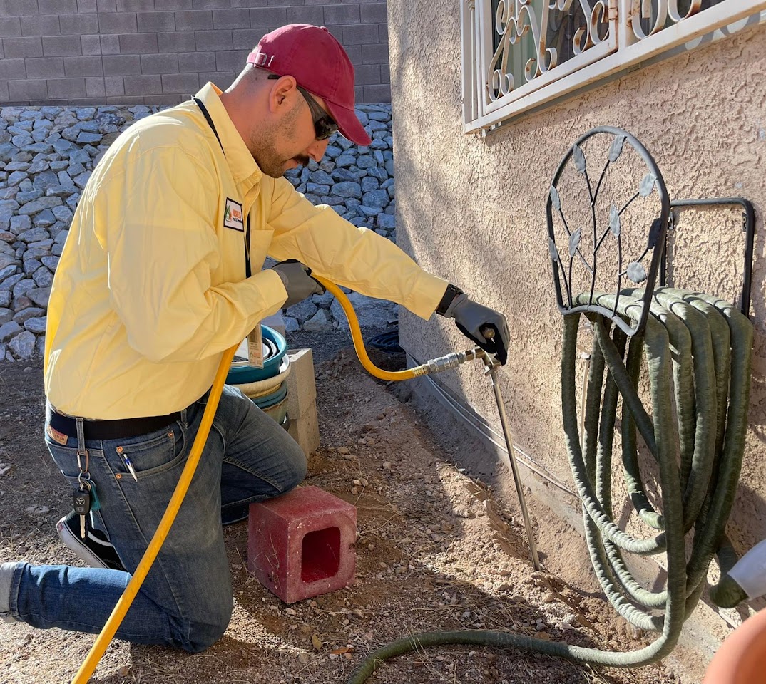 Got Bugs? Exterminating Pest, Termite, Bee, and Bed Bug Control project