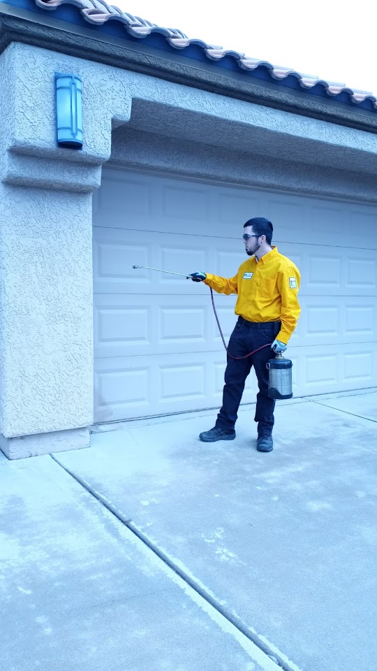 Got Bugs? Exterminating Pest, Termite, Bee, and Bed Bug Control project